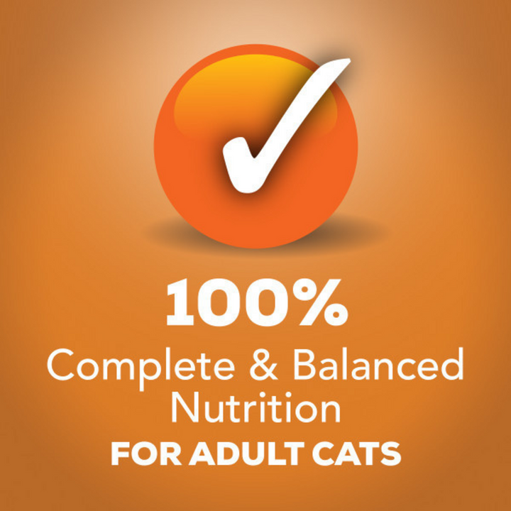 Friskies Prime Filets Chicken in Gravy Wet Cat Food