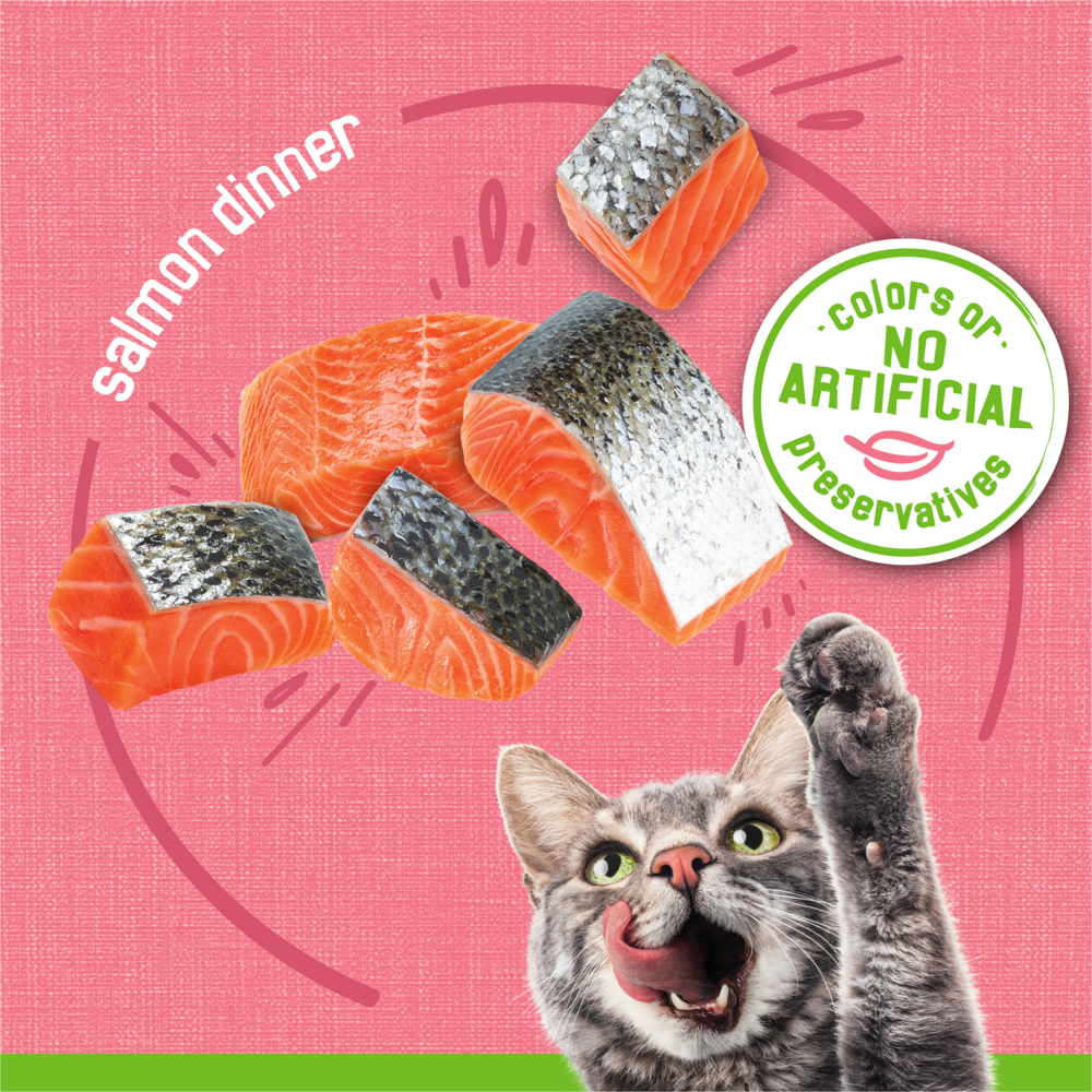 Friskies Pate Salmon Dinner Wet Cat Food