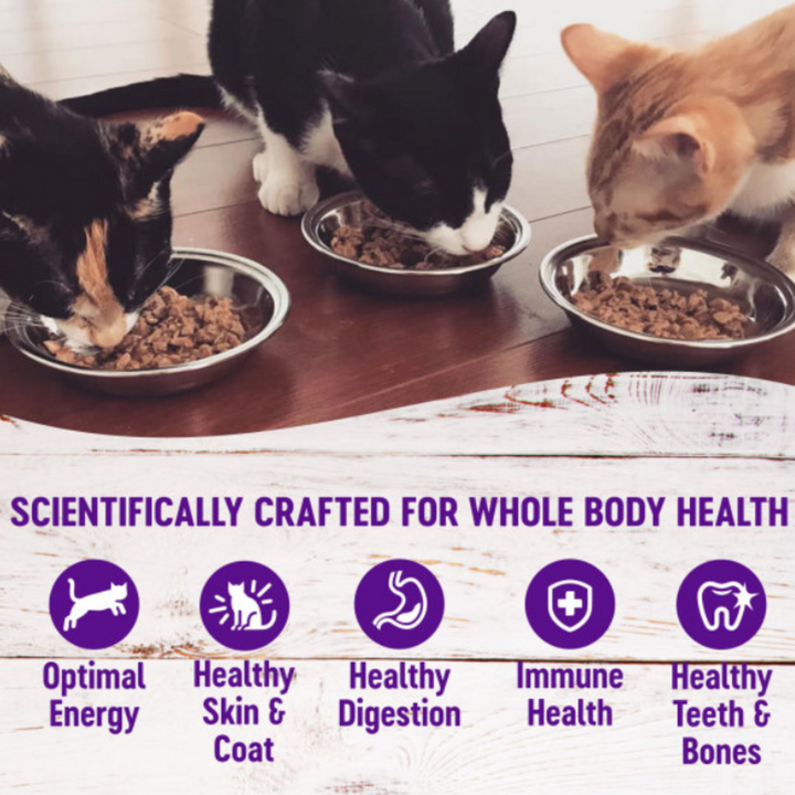Wellness Complete Health Pate Beef and Salmon Entree Wet Cat Food
