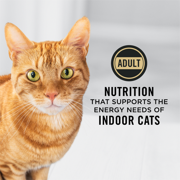 Purina Pro Plan Indoor Care Turkey & Rice Formula Dry Cat Food