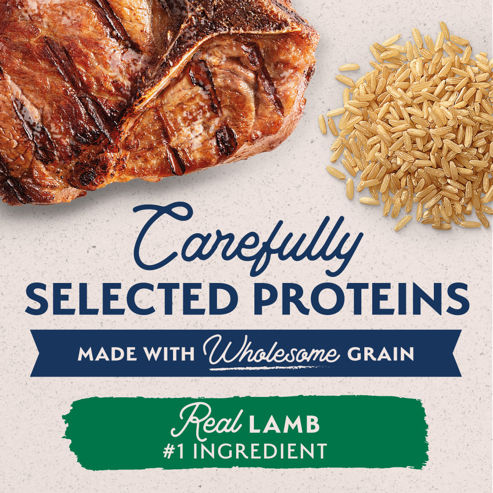 Natural Balance Limited Ingredient Wet Dog Food, Lamb & Brown Rice Recipe