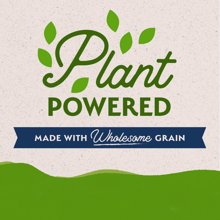 Natural Balance Limited Ingredient Wet Dog Food, Vegetarian Recipe