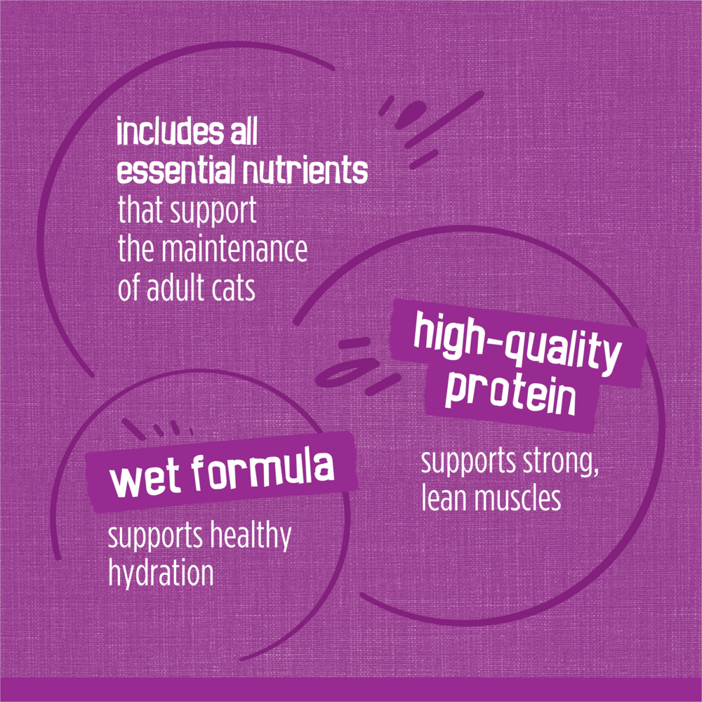 Friskies Poultry with Gravy Variety Pack Wet Cat Food