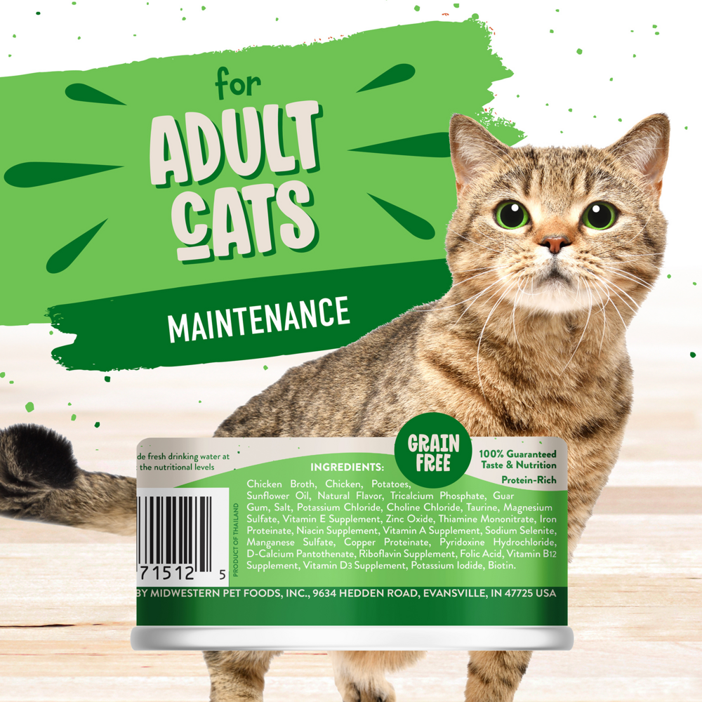 Earthborn Holistic Chicken Catcciatori Grain Free Canned Cat Food
