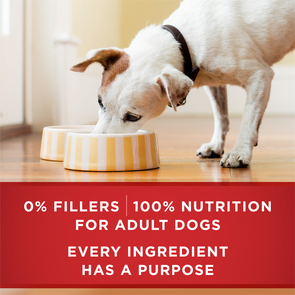 One Beef and Brown Rice Wet Dog Food