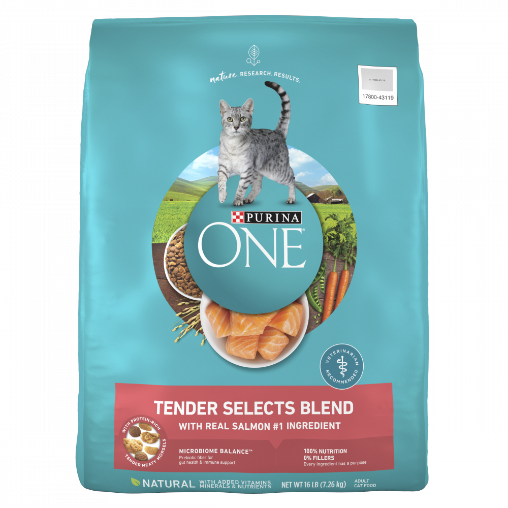 One Tender Selects Blend Real Salmon Dry Cat Food
