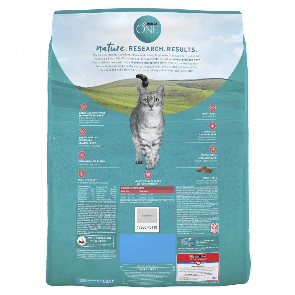 One Tender Selects Blend Real Salmon Dry Cat Food