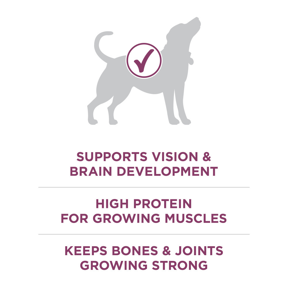 One Healthy Puppy Chicken Dry Puppy Food