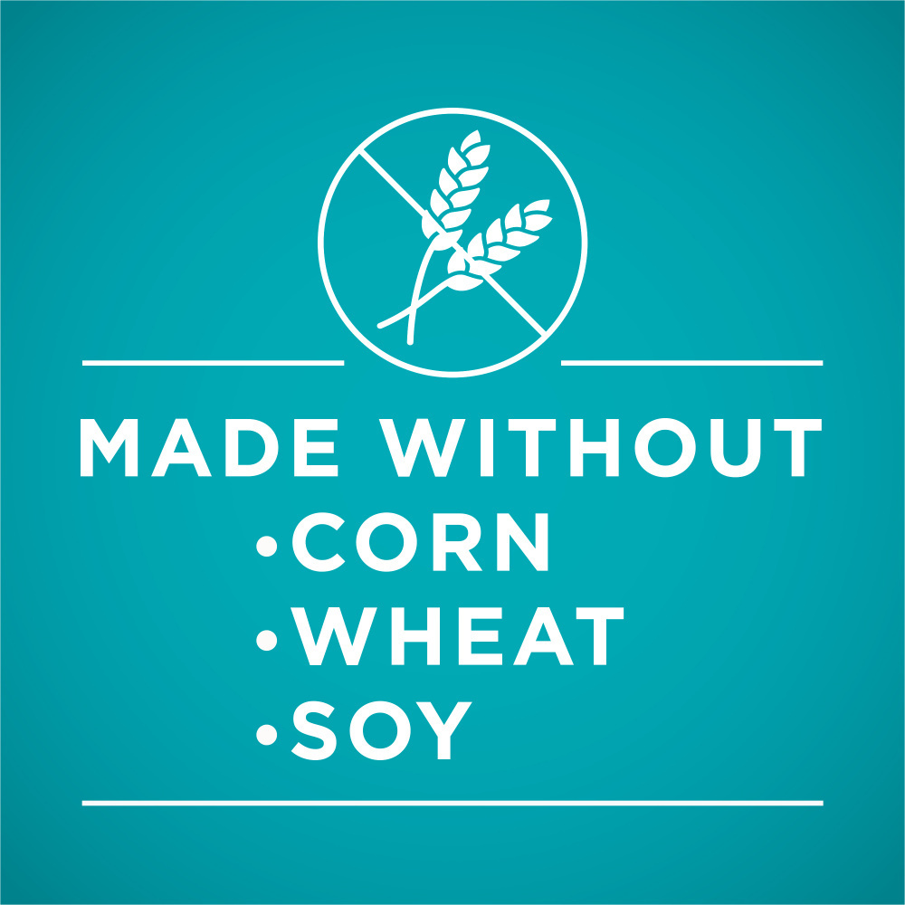 One Grain Free Chicken Pate Wet Cat Food