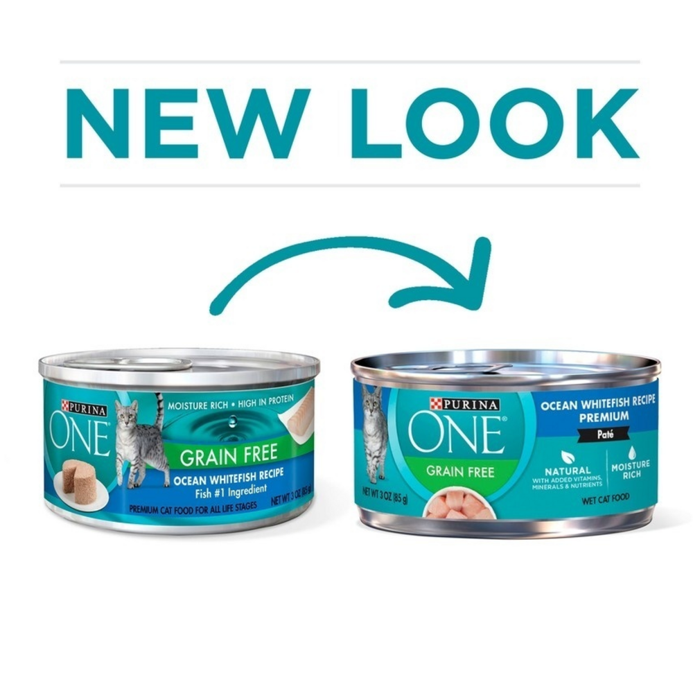 One Grain Free Premium Pate Whitefish Wet Cat Food