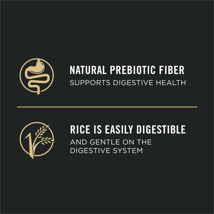 ProPlan Sensitive Skin & Stomach Salmon and Rice Pate Wet Dog Food