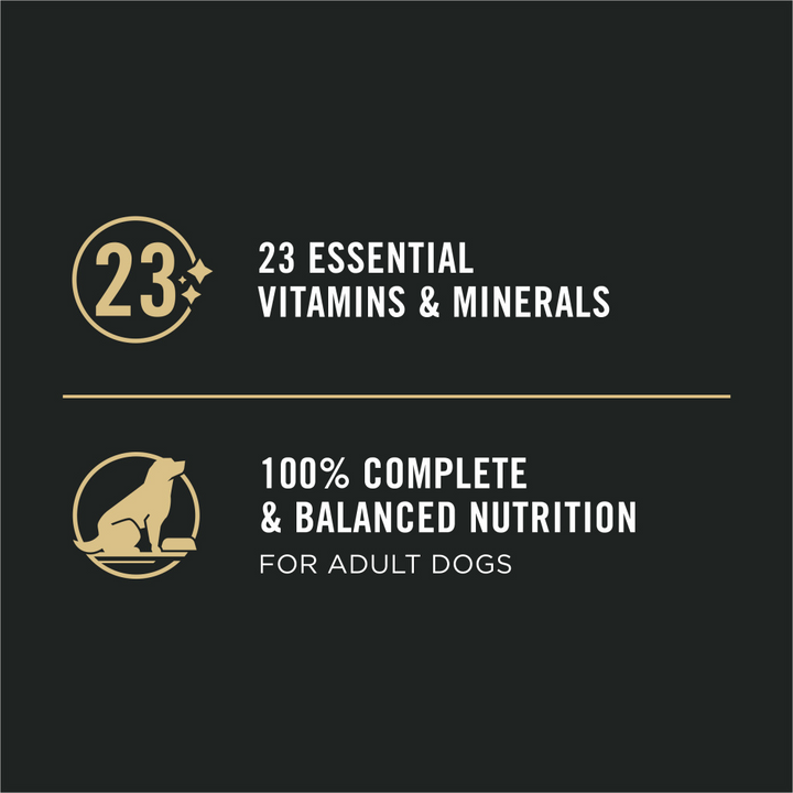 ProPlan Sensitive Skin & Stomach Salmon and Rice Pate Wet Dog Food