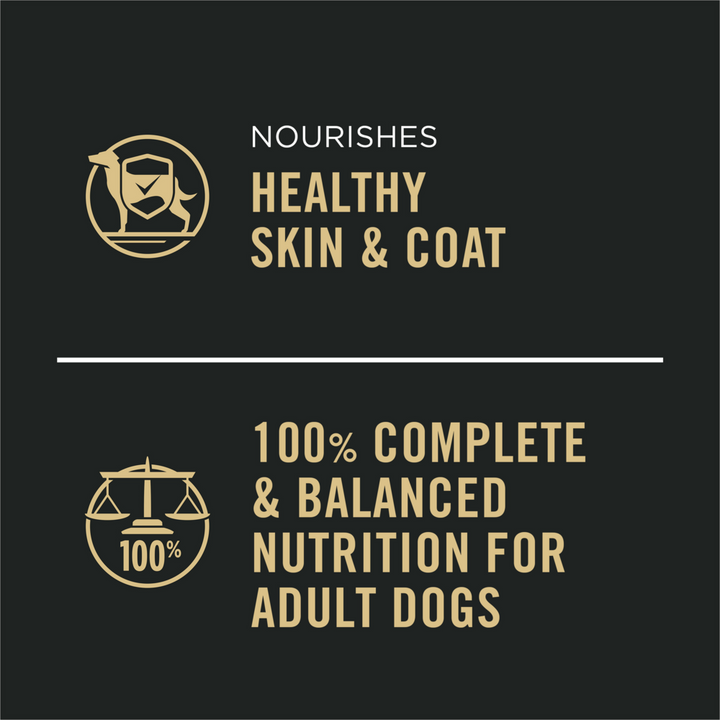 ProPlan Complete Essentials Beef and Rice Wet Dog Food