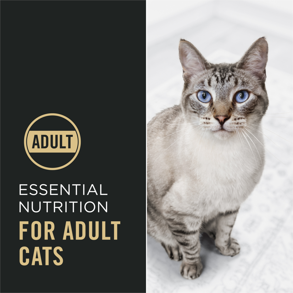 Purina Pro Plan Complete Essentials Chicken & Rice Formula Dry Cat Food