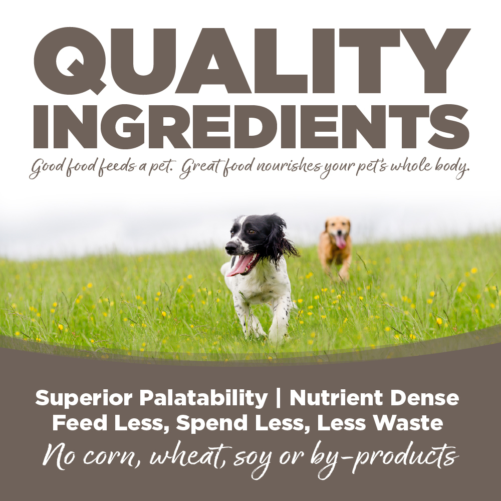 NutriSource Senior Chicken & Rice Dry Dog Food