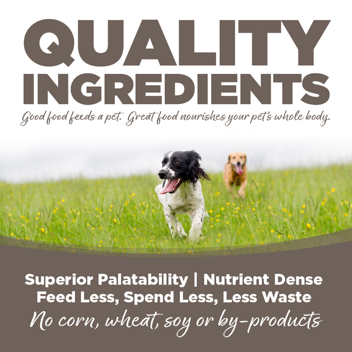 NutriSource Senior Chicken & Rice Dry Dog Food