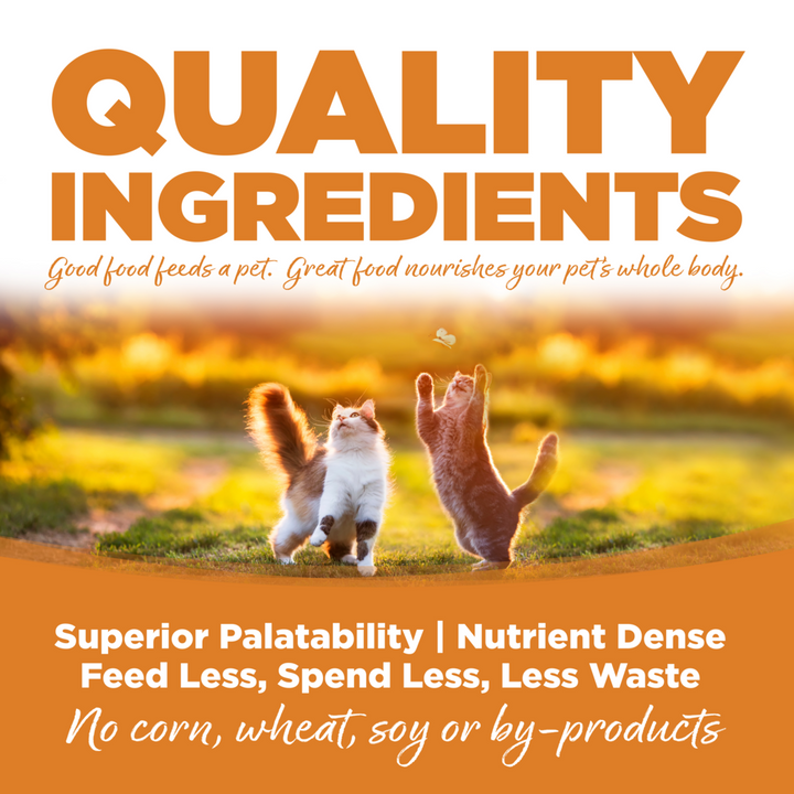 NutriSource  Cat & Kitten Chicken, Turkey & Lamb Canned Cat Food