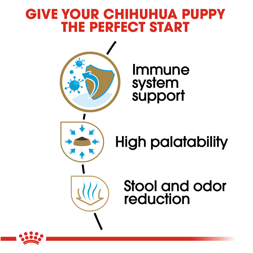 Royal Canin Breed Health Nutrition Chihuahua Puppy Dry Dog Food