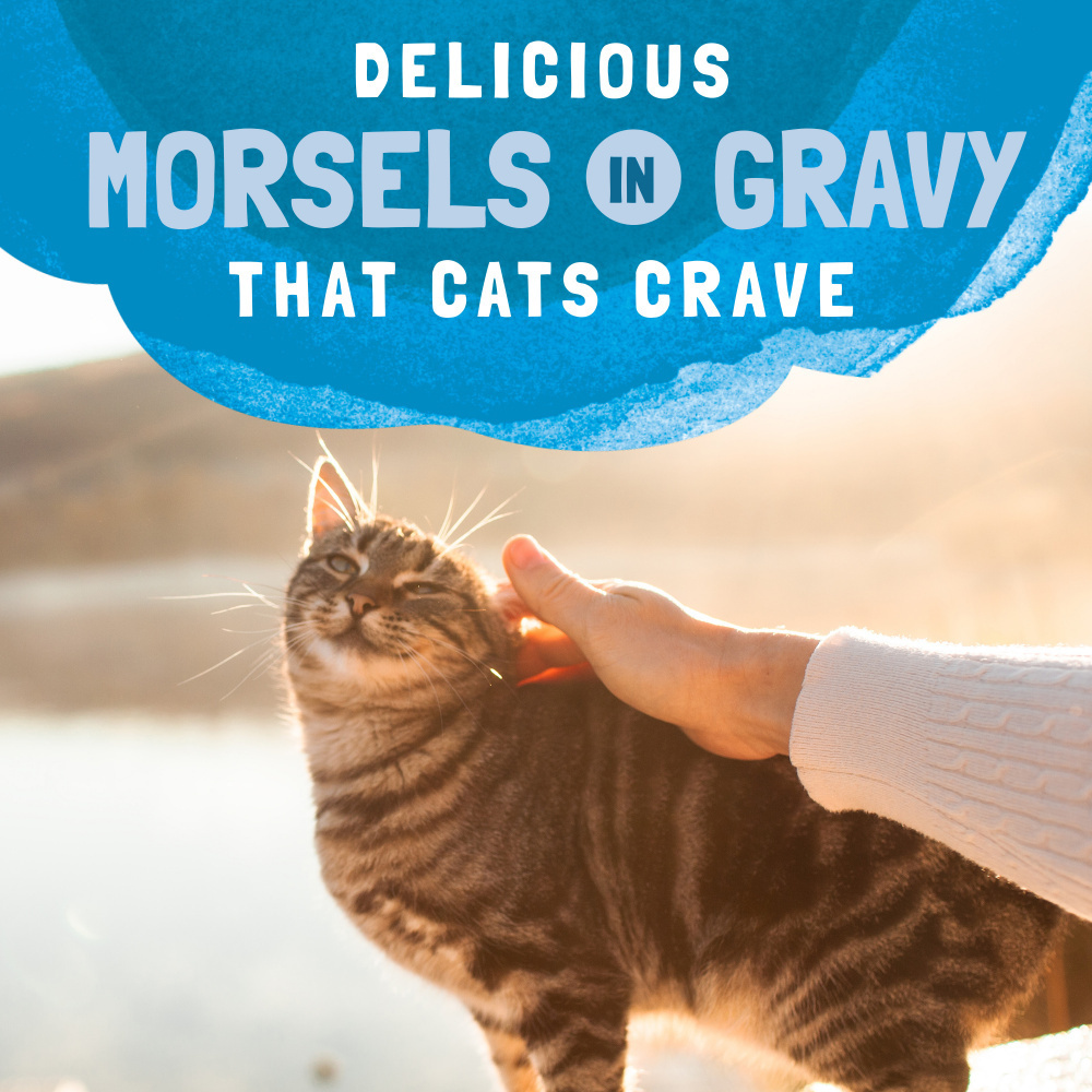 Natural Balance Original Ultra Platefulls Wet Cat Food, Mackerel & Sardine Morsels in Gravy Recipe