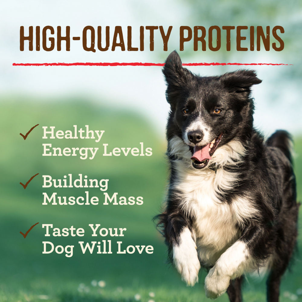 Merrick Grain Free Premium And Natural Canned Dog Food, Soft And Healthy Wet Recipe, Real Texas Beef Dinner