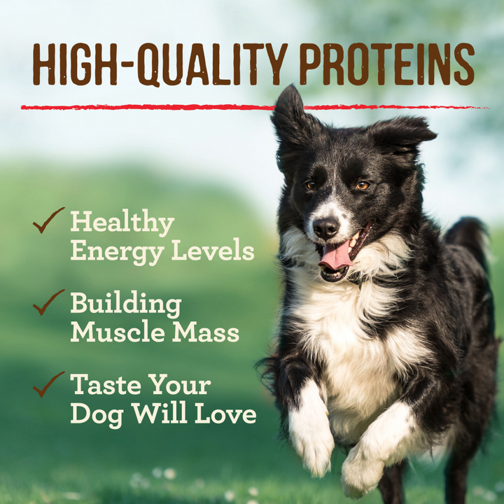 Merrick Grain Free Premium And Natural Canned Dog Food, Soft And Healthy Wet Recipe, Real Texas Beef Dinner