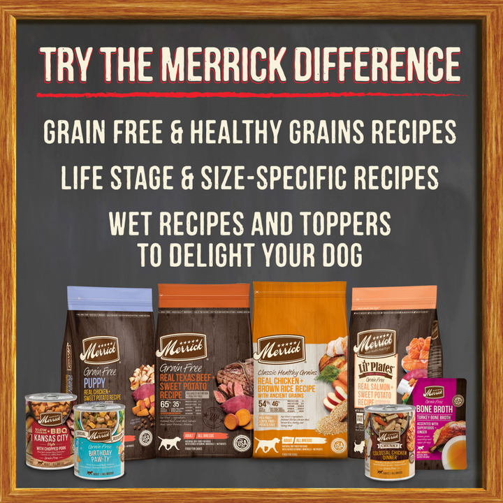 Merrick Grain Free Texas Beef and Sweet Potato Adult Wet Dog Food