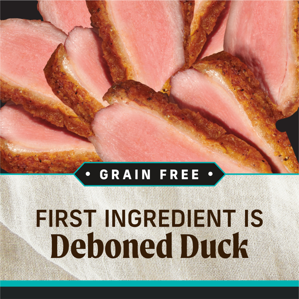 Merrick Grain Free 96% Duck Adult Wet Dog Food