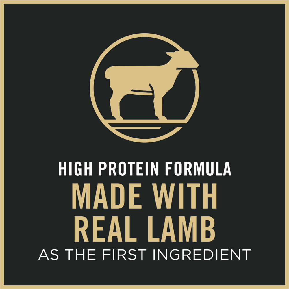 Purina Pro Plan Adult Sensitive Skin & Stomach Lamb & Rice Formula Dry Cat Food