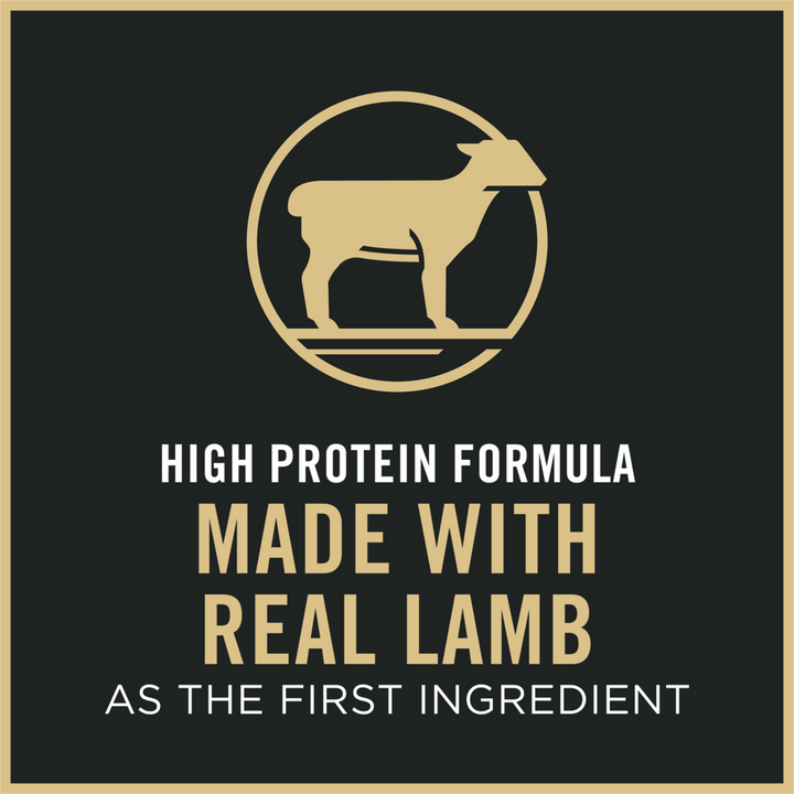 Purina Pro Plan Adult Sensitive Skin & Stomach Lamb & Rice Formula Dry Cat Food