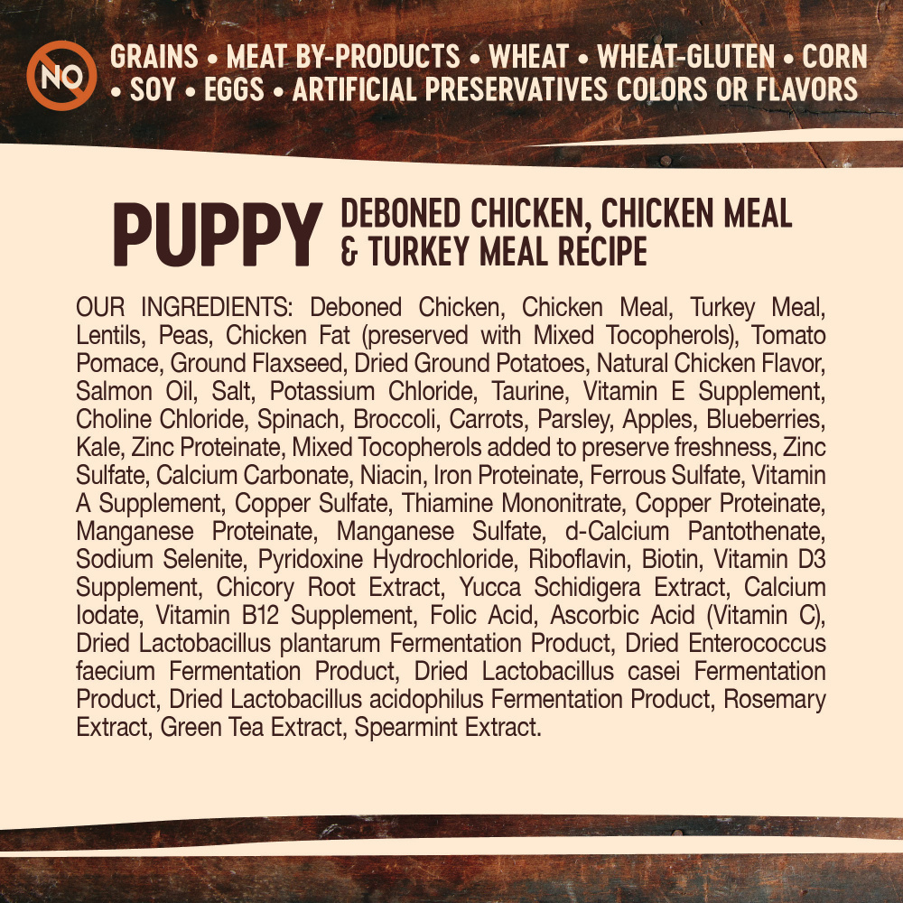 Wellness Core Grain Free Natural Puppy Health Chicken & Turkey Recipe Dry Dog Food