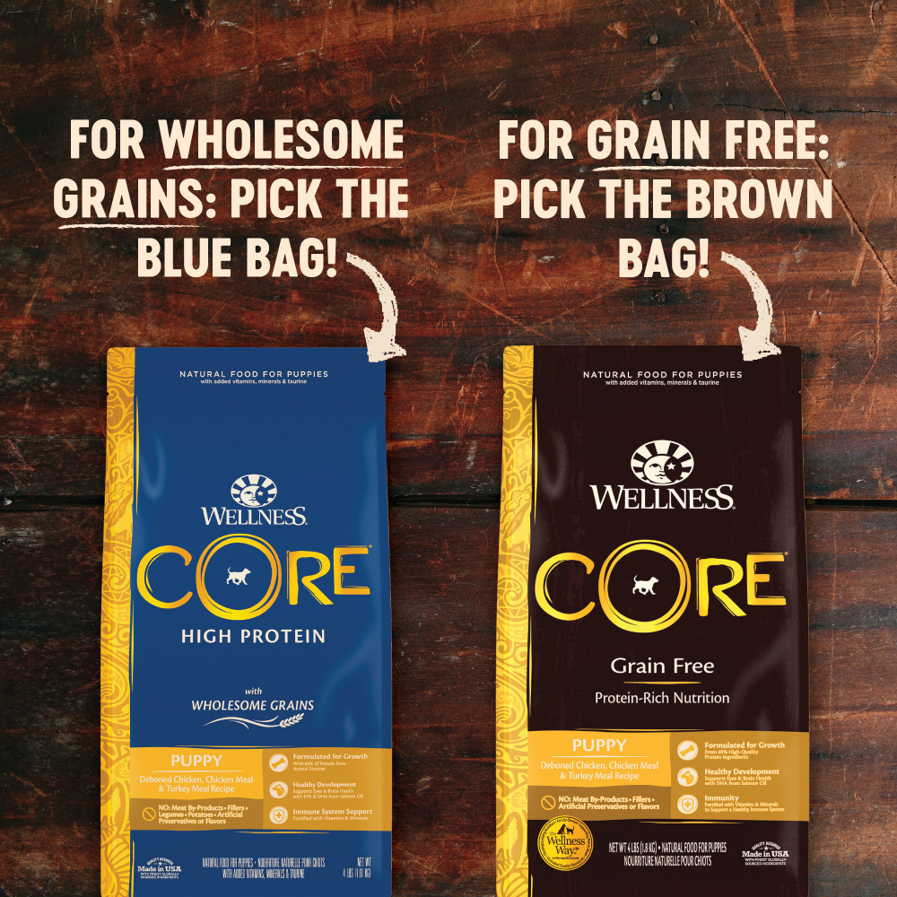 Wellness Core Grain Free Natural Puppy Health Chicken & Turkey Recipe Dry Dog Food