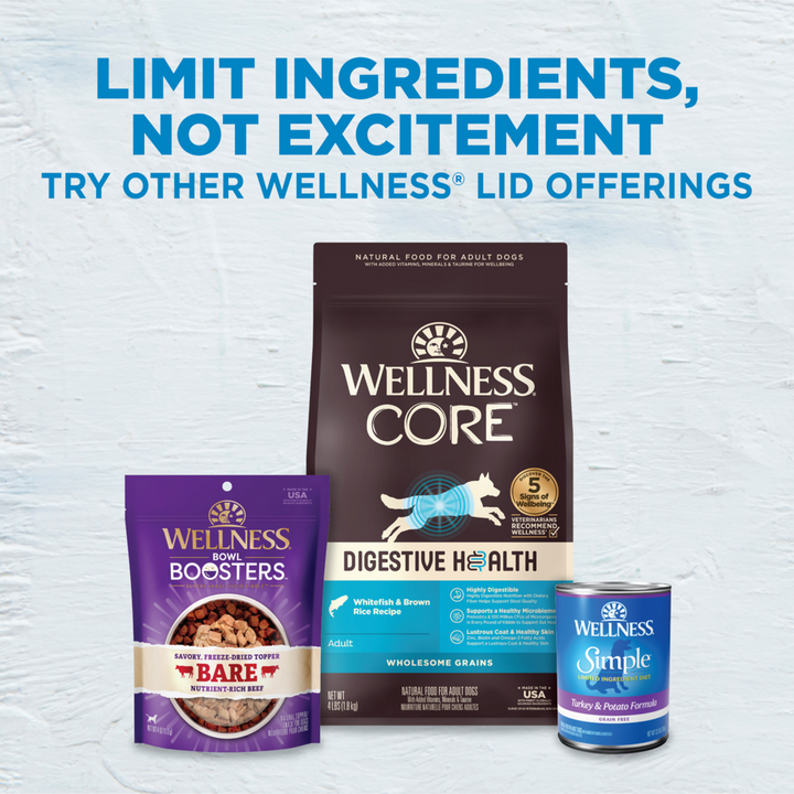 Wellness Simple Grain Free Natural Limited Ingredient Diet Salmon and Potato Recipe Dry Dog Food