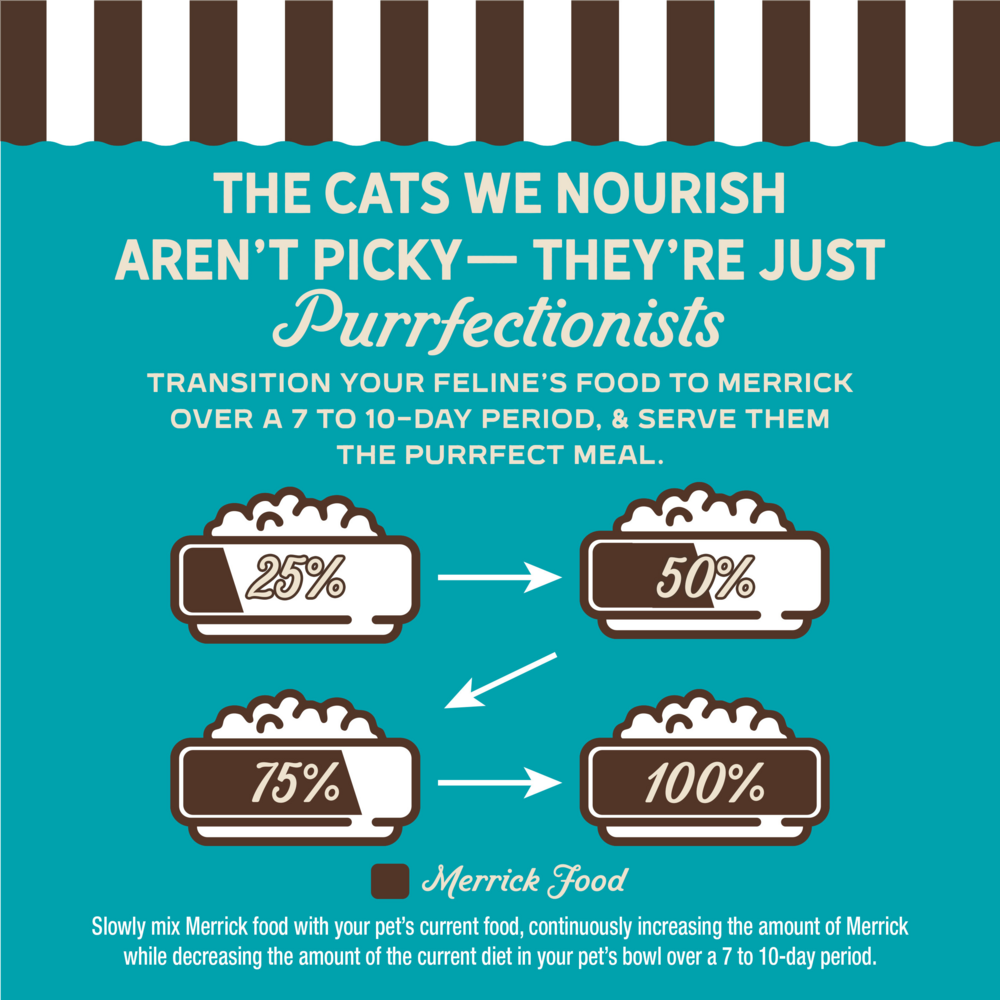 Merrick Purrfect Bistro Grain Free Premium Soft Canned Pate Adult Wet Cat Food, High Protein Duck Recipe