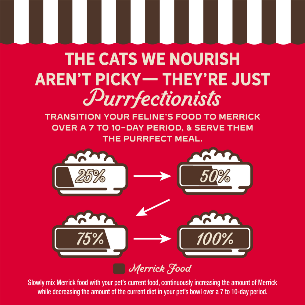 Merrick Purrfect Bistro Grain Free Beef Pate Adult Wet Cat Food