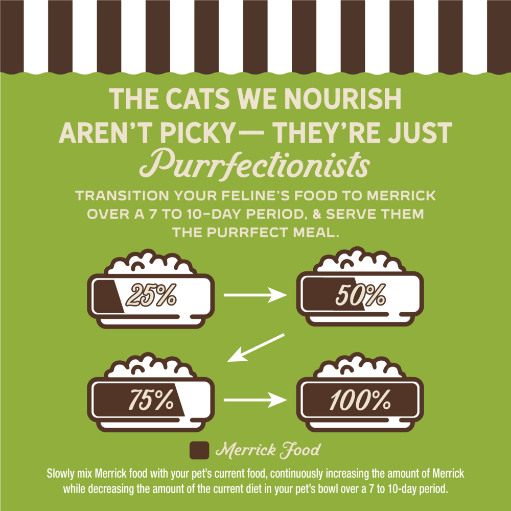 Merrick Purrfect Bistro Grain Free Premium Soft Canned Pate Adult Wet Cat Food, High Protein Turkey Recipe