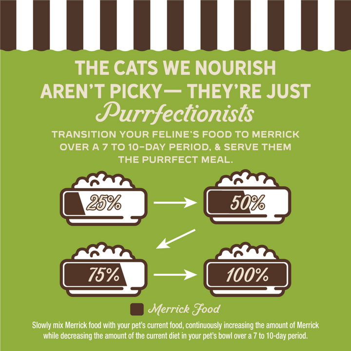 Merrick Purrfect Bistro Grain Free Premium Soft Canned Pate Adult Wet Cat Food, High Protein Turkey Recipe