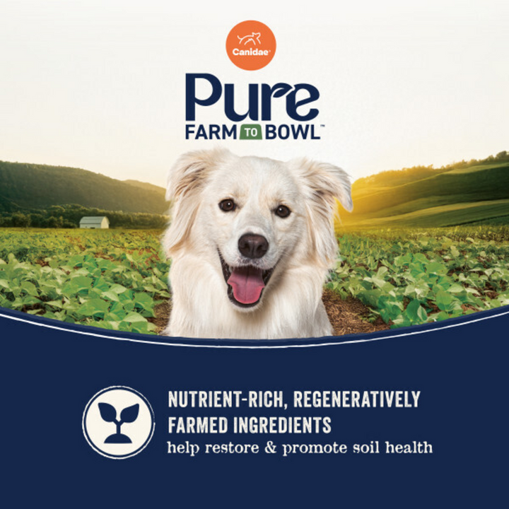 Canidae Pure Farm To Bowl Wild-Caught Salmon & Sweet Potato Recipe Dog Food
