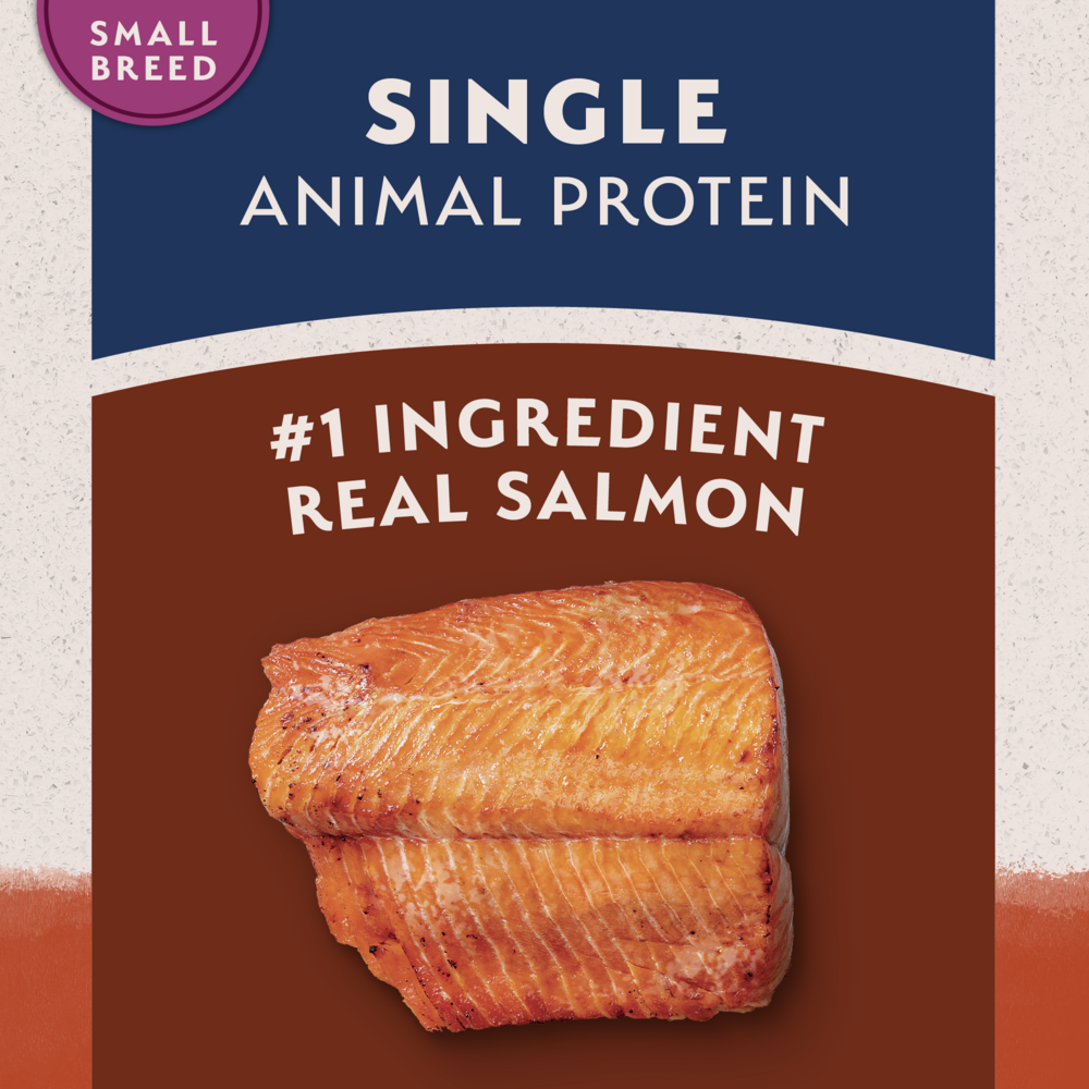 Natural Balance Limited Ingredient Grain Free Dry Dog Food for Small Breeds, Salmon & Sweet Potato