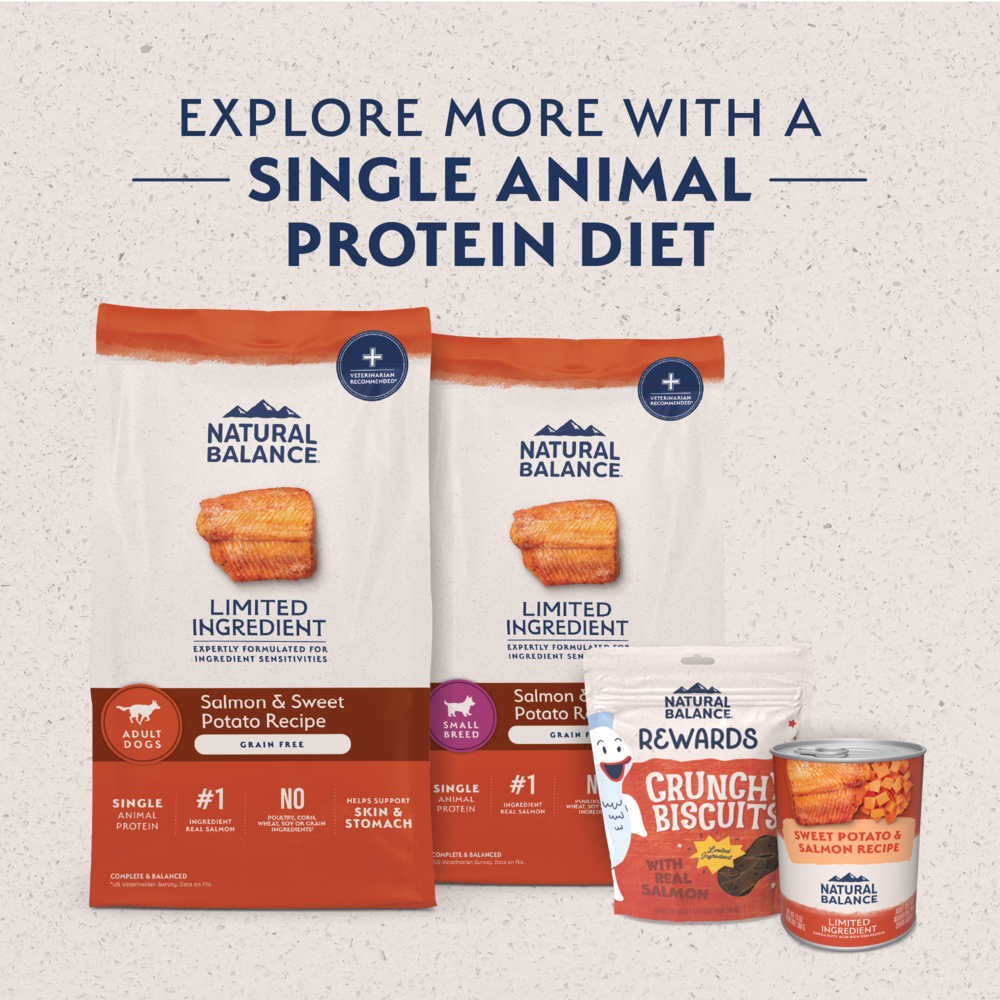 Natural Balance Limited Ingredient Grain Free Dry Dog Food for Small Breeds, Salmon & Sweet Potato