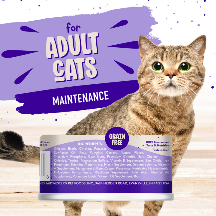Earthborn Holistic Grain Free Chicken Fricatssee Canned Cat Food