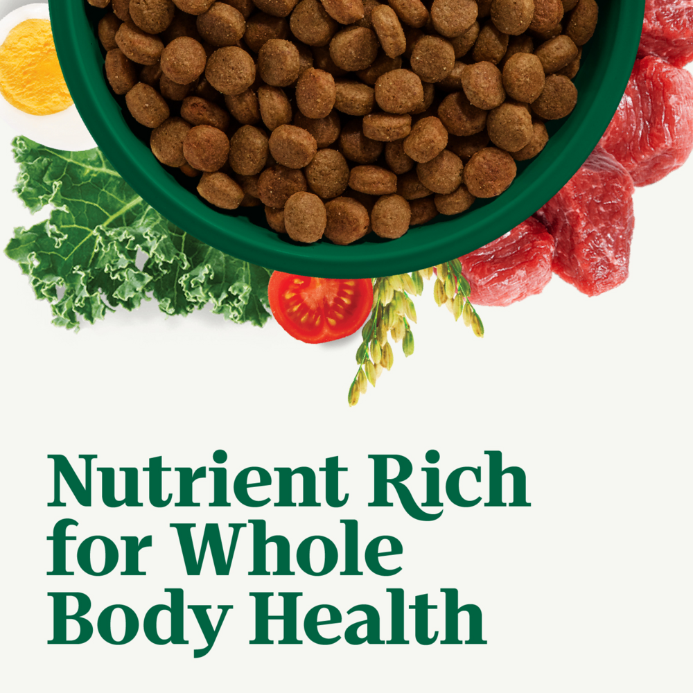 Nutro Wholesome Essentials Healthy Weight Large Breed Adult Farm-Raised Chicken, Rice & Sweet Potato Dry Dog Food