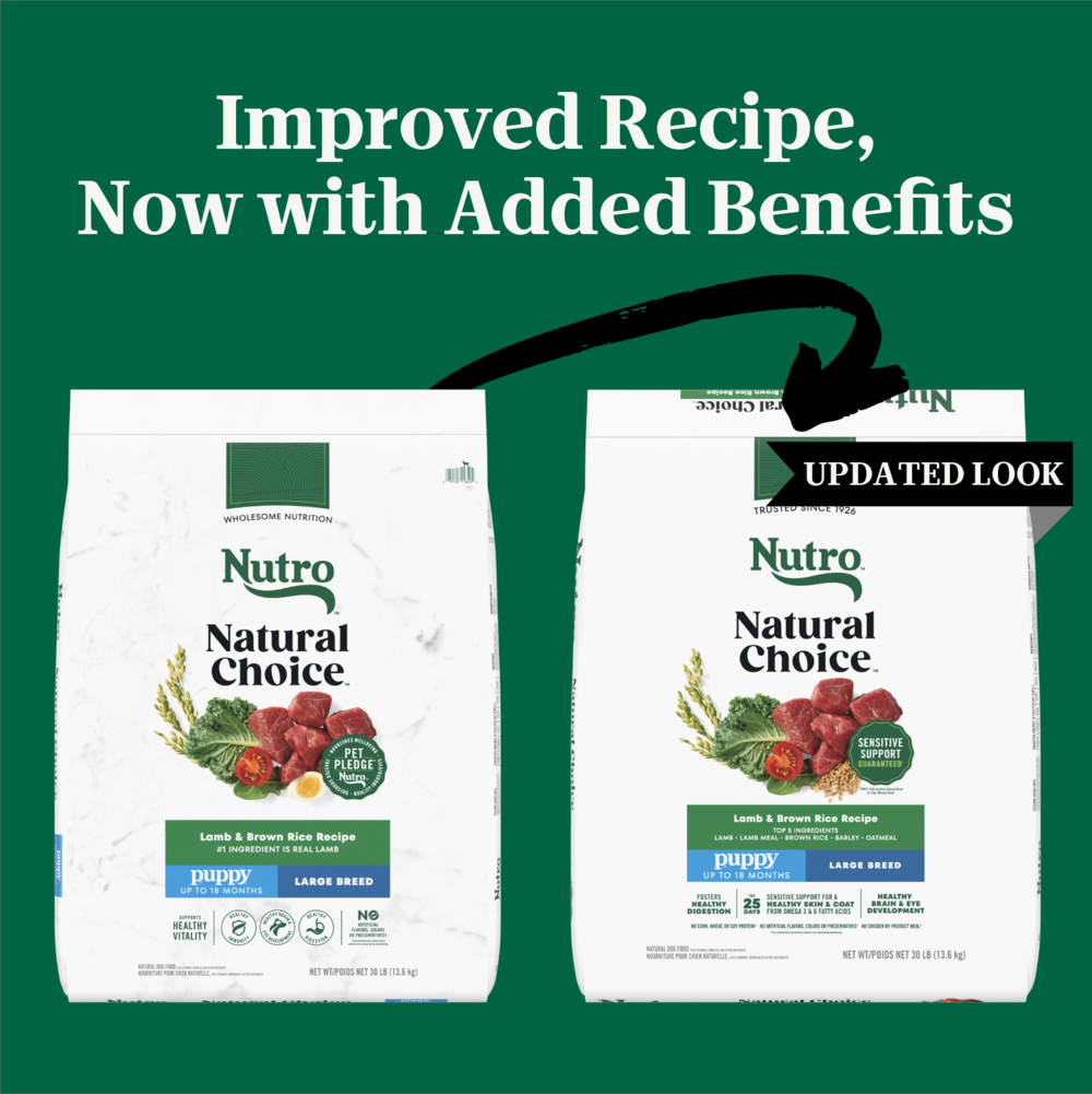 Nutro Wholesome Essentials Large Breed Puppy Pasture-Fed Lamb & Rice Dry Dog Food
