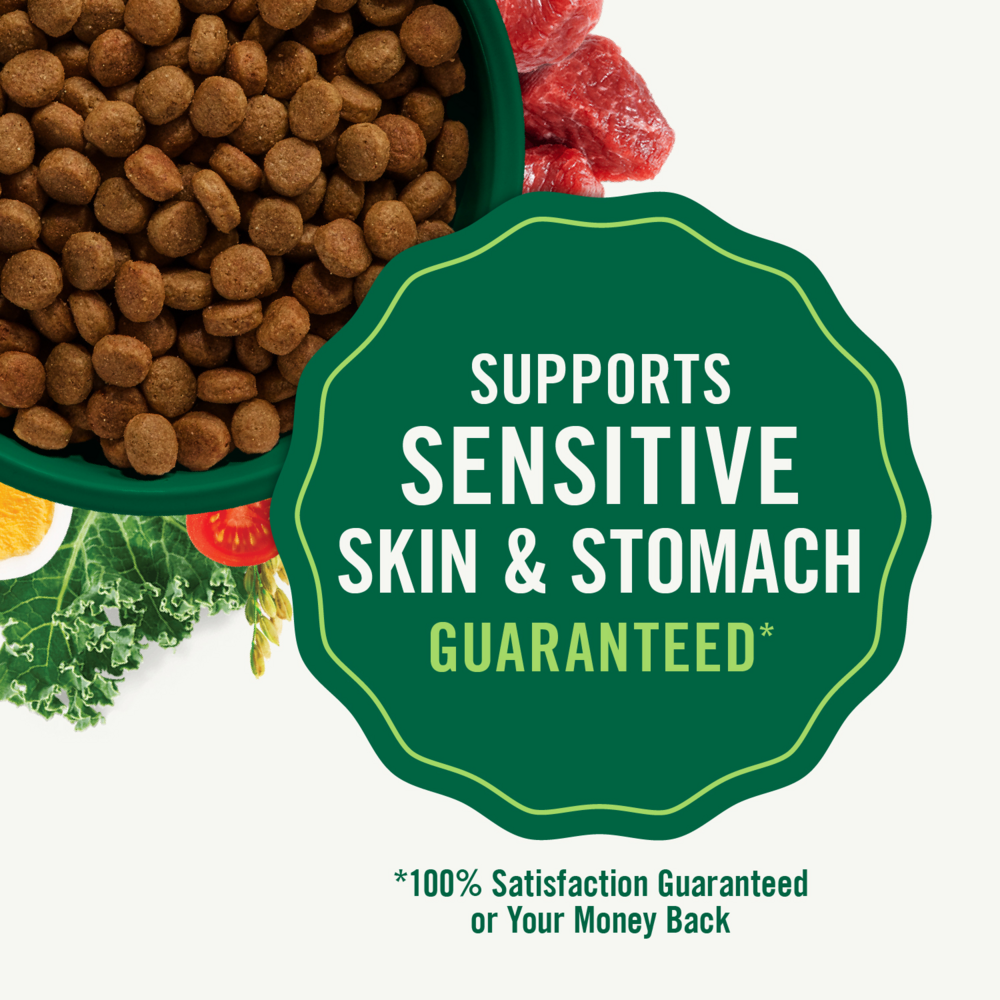 Nutro Wholesome Essentials Large Breed Puppy Pasture-Fed Lamb & Rice Dry Dog Food