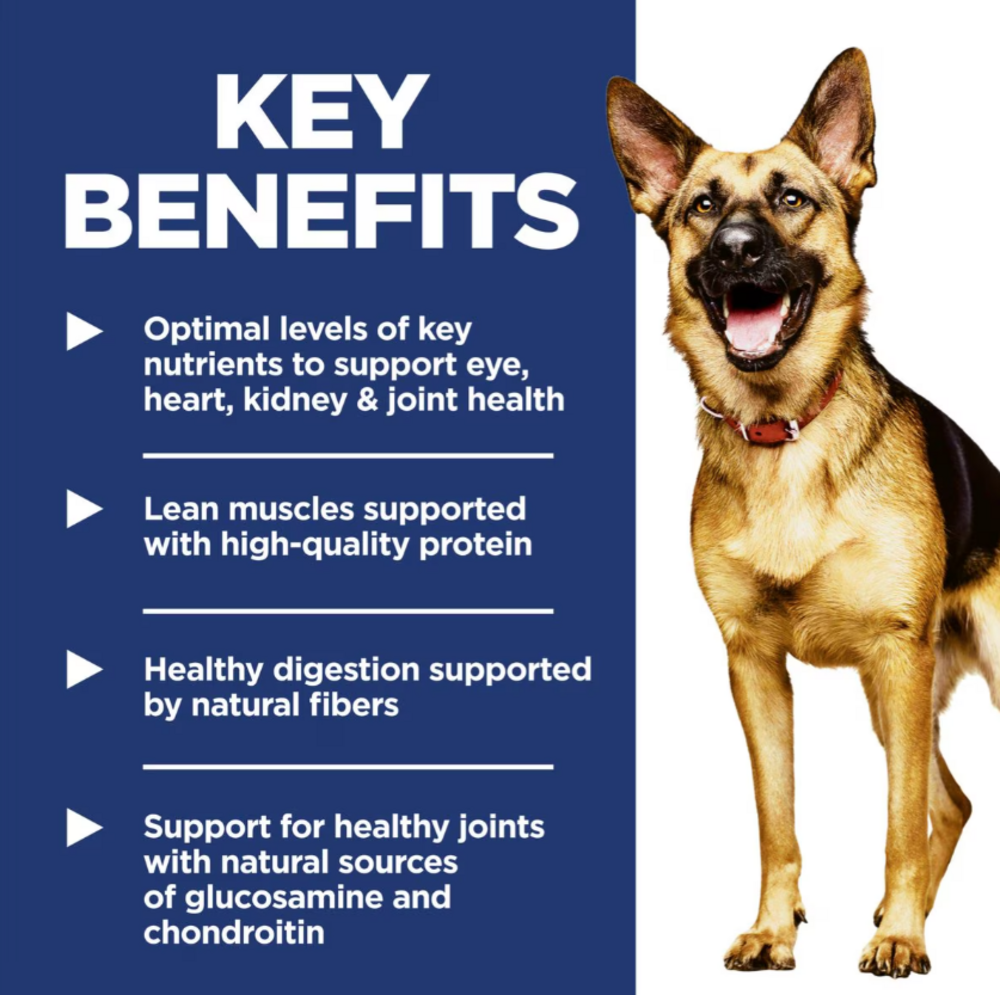Hill's Science Diet Adult 6+ LG Breed Chicken Meal, Rice, & Barley Recipe Dry Dog Food