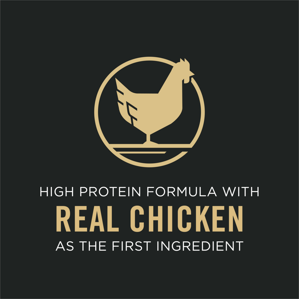 Purina Pro Plan Bright Mind Adult 7plus Chicken & Rice Formula Dry Dog Food
