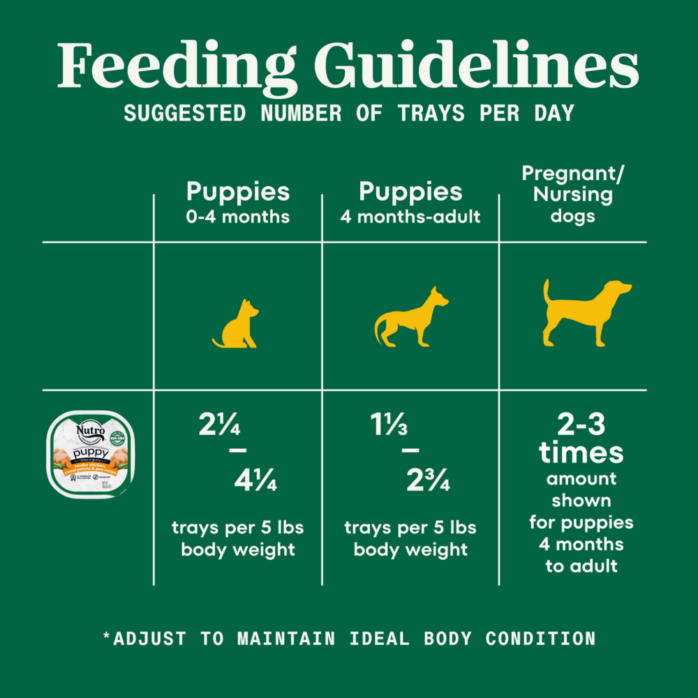 Nutro Puppy Tender Chicken & Rice Recipe Cuts In Gravy Dog Food Trays