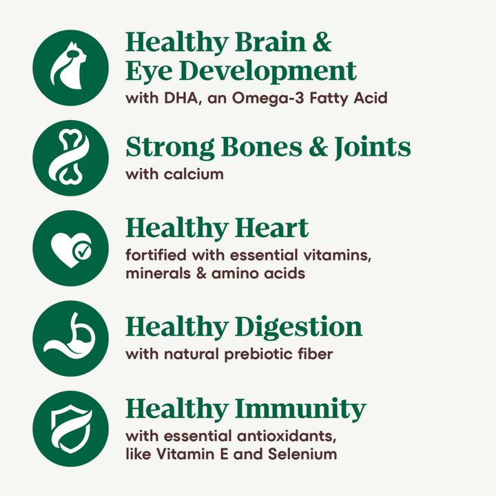 Nutro Wholesome Essentials Farm Raised Kitten Chicken and Brown Rice Dry Cat Food