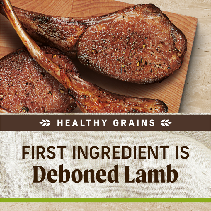 Merrick Healthy Grains Lamb and Brown Rice Adult Dry Dog Food