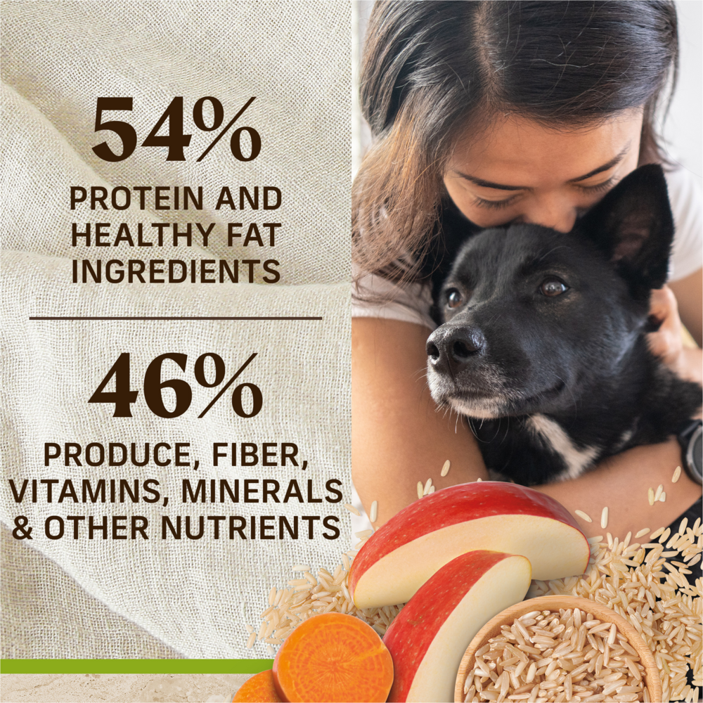 Merrick Healthy Grains Lamb and Brown Rice Adult Dry Dog Food