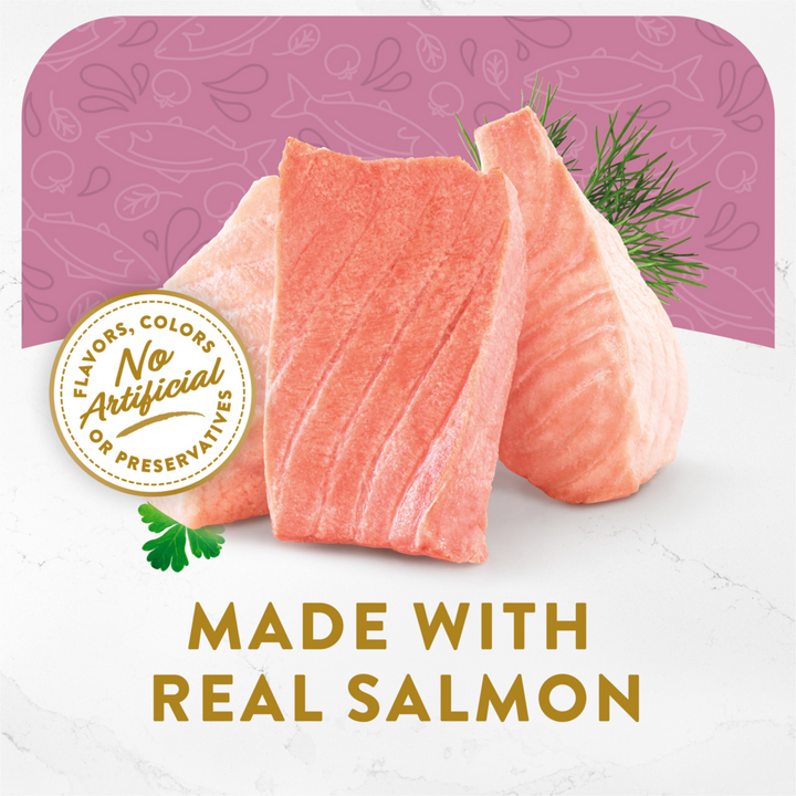 Fancy Feast Classic Broths Wild Salmon and Vegetables Wet Cat Food